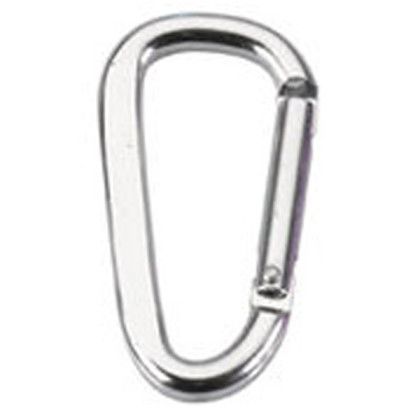 Silver Carabiner