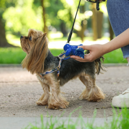 Custom Bone Shaped Waste Bag Dispenser in Use