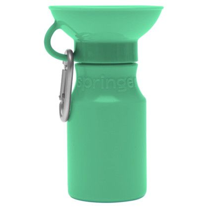 Custom Springer 15 oz Mini Travel Bottle - Spring Green