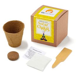 Custom Solar Chakra Growable in Kraft Gift Box - Full-Color Imprint
