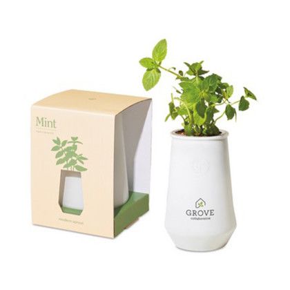 Custom Modern Sprout Tapered Tumbler Grow Kit - White/Mint