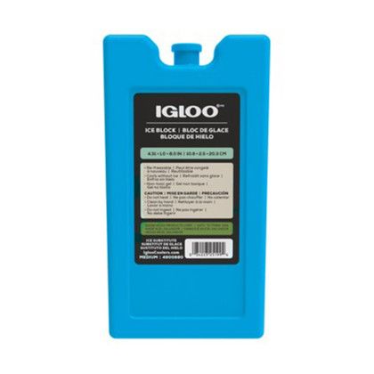 Igloo Ice Block - Medium - Turquoise