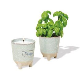 Custom Modern Sprout Glow & Grow Live Well Gift Set - Blue Green: Herb Garden w- Basil Seeds