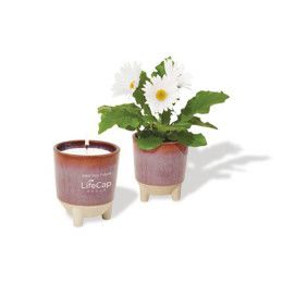 Custom Modern Sprout Glow & Grow Live Well Gift Set - Burgundy: Wildflower w- Daisy Seeds 