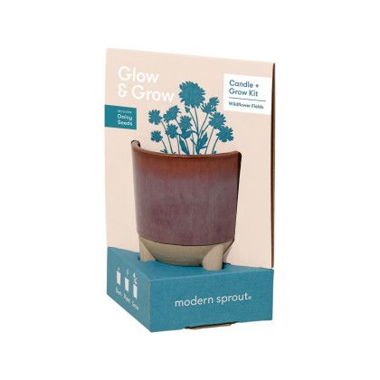 Custom Modern Sprout Glow & Grow Live Well Gift Set - Burgundy: Wildflower w- Daisy Seeds  - Box
