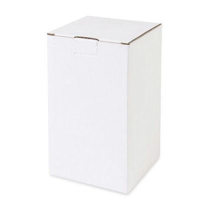 Custom Modern Sprout Plant Parent Mister - Black - Box