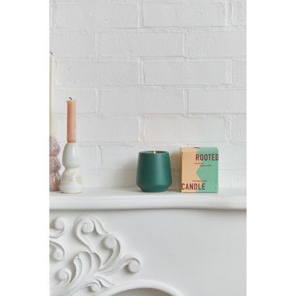 Custom Modern Sprout Rooted Candle - Dark Teal/Thyme - Candle on Shelf
