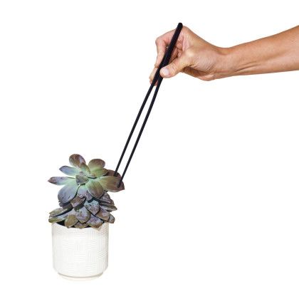 Custom Modern Sprout Plant Parent Care Kit - Black - Tweezers Custom Modern Sprout Plant Parent Care Kit - Black - Tweezers