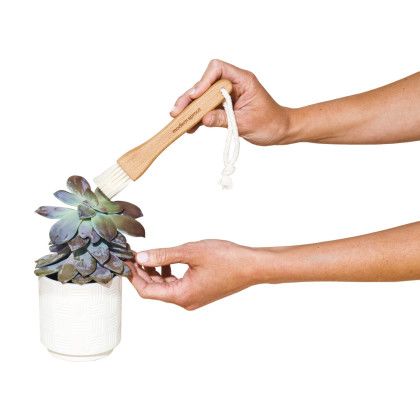 Custom Modern Sprout Plant Parent Care Kit - Black - Brush Custom Modern Sprout Plant Parent Care Kit - Black - Brush