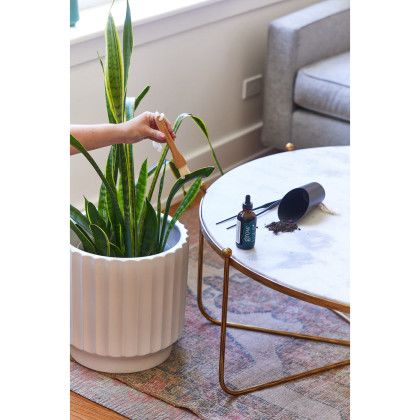 Custom Modern Sprout Plant Parent Care Kit - Black - In Use Custom Modern Sprout Plant Parent Care Kit - Black - In Use