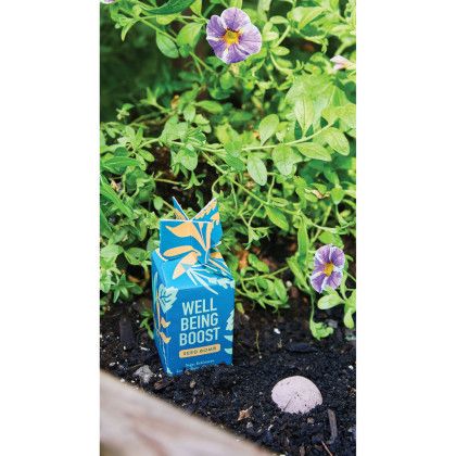 Custom Modern Sprout Encouragement Seed Bomb - Well Being Boost - In Garden