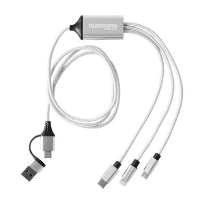 Custom 3-in-1 Charging Cable with Dual Input - Silver