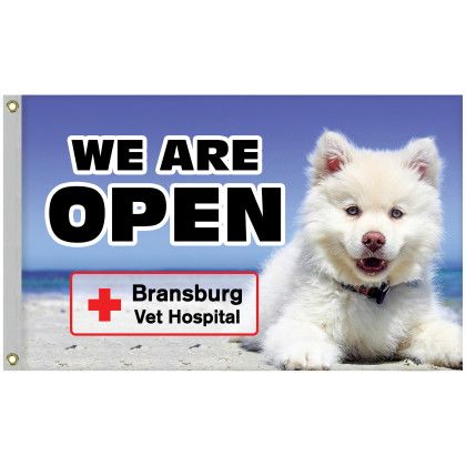 Custom 2.5' x 4' Digitally Printed Single Reverse Knit Poly Flag