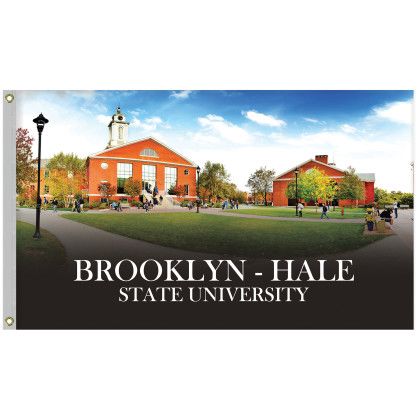 Custom 3' x 5' Digitally Printed Single Reverse Knit Poly Flag