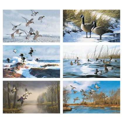 Custom North American Waterfowl Calendar - Months