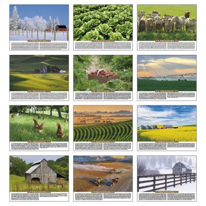 Customized Scenic Almanac Wall Calendar - Months