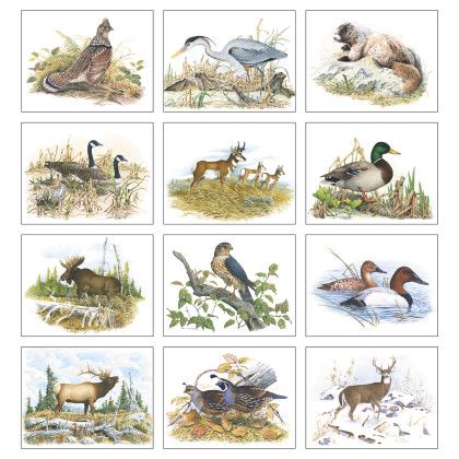 Custom Economy Appointment Calendar Wildlife Trek - Months