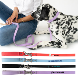 Custom Springer Dog Leash