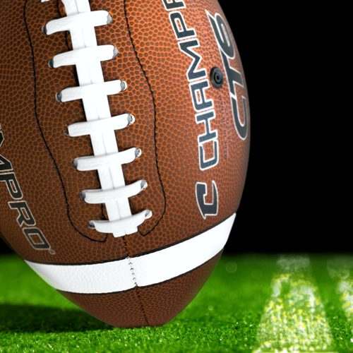 Custom 14" CHAMPRO Full Size Footballs