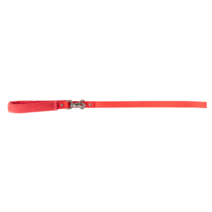 Custom Springer Small Dog Leash - Poppy