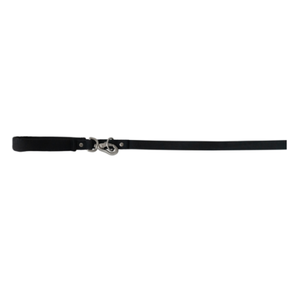 Custom Springer Dog Leash - Black