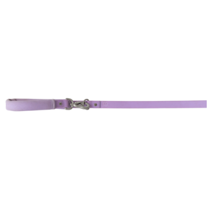 Custom Springer Dog Leash - Lilac