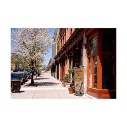 Custom FrameWorx Flex Kit (Single-Sided) - Multicolor 5