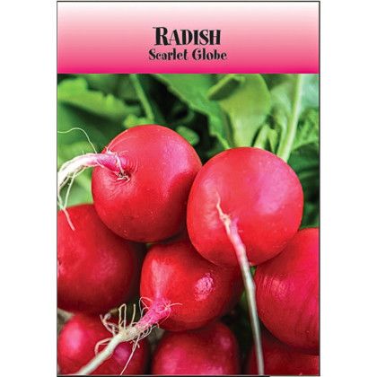 Custom Logo Radish Seed Packet | Promotional Radish Seed Packets