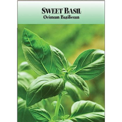 Custom Sweet Basil Seed Packet | Bulk Vegetable & Herb Seed Packets with Logos