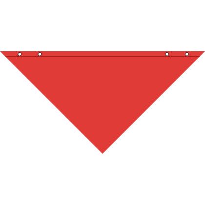 Custom Large Triangle Pet Bandanna - Red