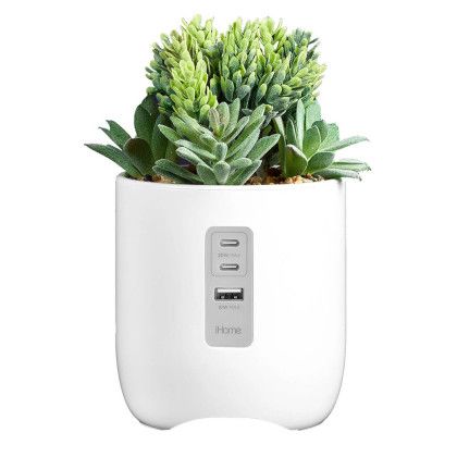 Custom IHome Faux Succulent with USB Charging Station - Soket View