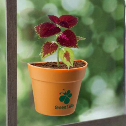 Custom Wall Sprouts Planter Blossom Kit with Logo Custom Wall Sprouts Planter Blossom Kit with Logo