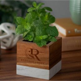 Custom Acacia Wood & Marble Blossom Kit with Logo