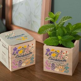 Custom Wooden Cube Blossom Kit with Logo