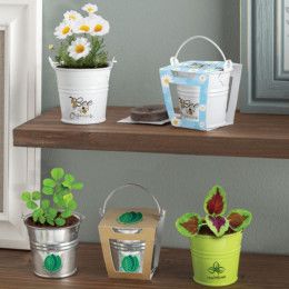 Custom Mini Pail Blossom Kit with Logo