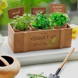 Custom Terzetto Blossom Kit with Logo