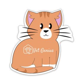 Custom Cat Shaped NoteKeeper Magnet 20 Mil