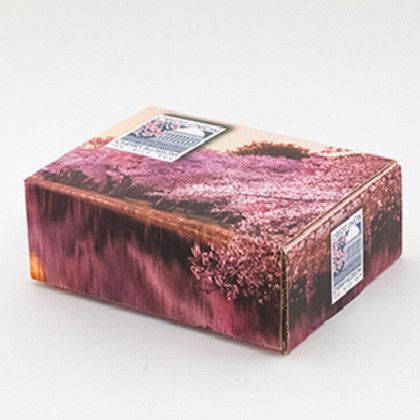 Custom 10" x 7.375" x 3.25" 4CP Full Bleed E-Flute Tuck Box - 4/0 - Multicolor Custom 10" x 7.375" x 3.25" 4CP Full Bleed E-Flute Tuck Box - 4/0 - Multicolor