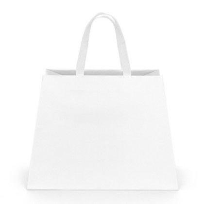 Custom McKinley Matte Laminated Bag - White Back View