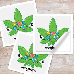 Custom 4" x 4" Square Sticker 3.5mil