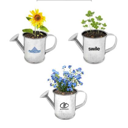 Custom Seed Sensations Watering Can Planter With Holiday Wrapper - Clear With Watering canplants