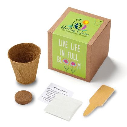 Custom Inspirational Live Life in Full Bloom Planter in Kraft Gift Box Custom Inspirational Live Life in Full Bloom Planter in Kraft Gift Box