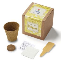 Custom Yellow Garden of Hope Planter in Kraft Gift Box - Natural With Yellow
