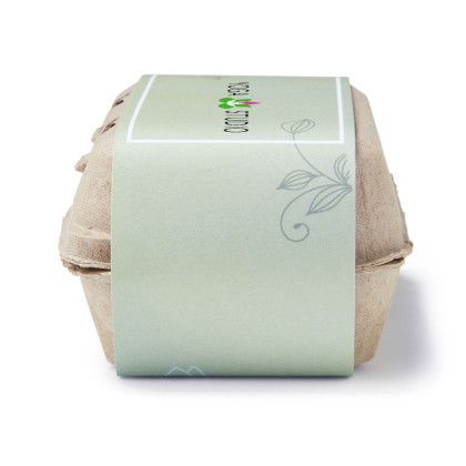 Custom Create-Your-Own Zen Kit  - Natural Back View