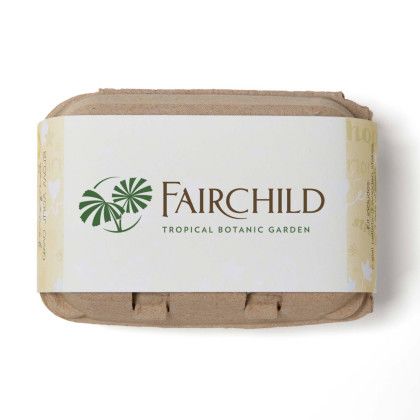 Custom Yellow Grow Your Own Garden of Hope - Yellow With Natural Front View