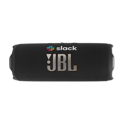 Custom JBL Flip 7 Portable Speaker - Black Front View 