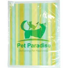 Custom Digital Full Color 2-Sided Clear Plastic Bag - 12" x 15"