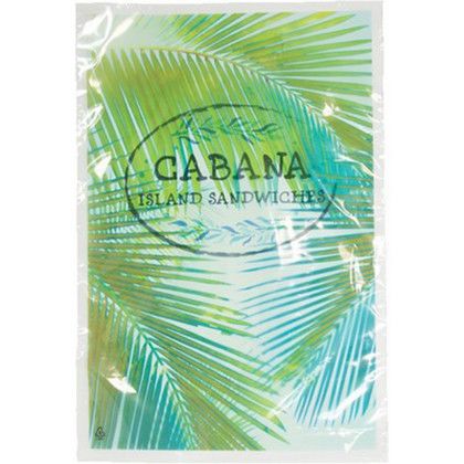 Custom Digital Full Color 1-Sided Clear Plastic Bag - 9" x 13" - Back view