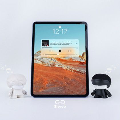 Custom Xoopar Mini XBoy Speaker - All Set