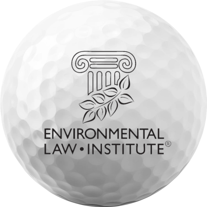 Custom Titleist Pro V1 Golf Balls - Ball View Custom Titleist Pro V1 Golf Balls - Ball View